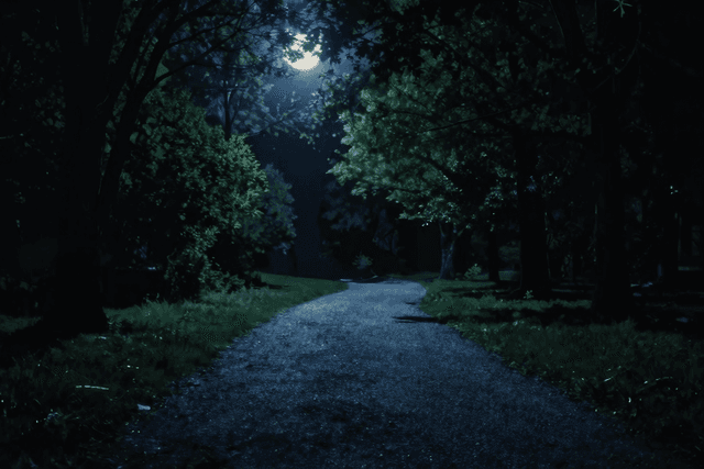 野外露出で"音"はどこまで危険?足音・車音・話し声から逆算するバレやすさ講座