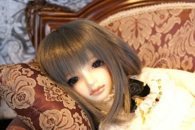 ラブドールとアガルマトフィリアの世界