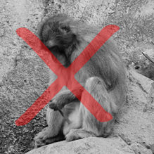 オナニーのしすぎ